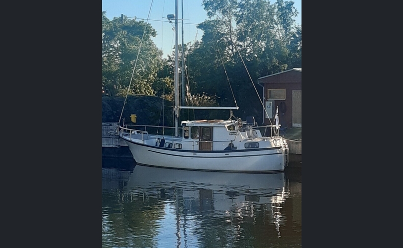 Albatross 321 ms-kuva-8